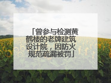 曾参与检测黄鹤楼的老牌建筑设计院，因防火规范疏漏被罚